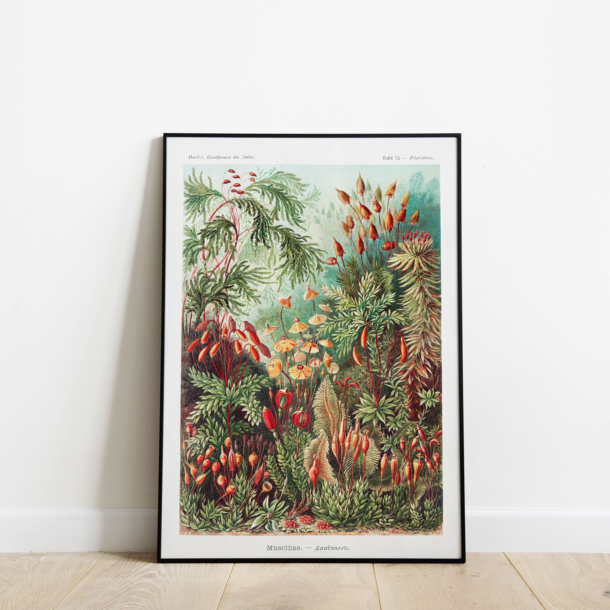 Forest Moss - Hartsholme Prints