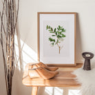 Honeysuckle Flower - Hartsholme Prints