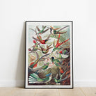 Humming Birds - Hartsholme Prints