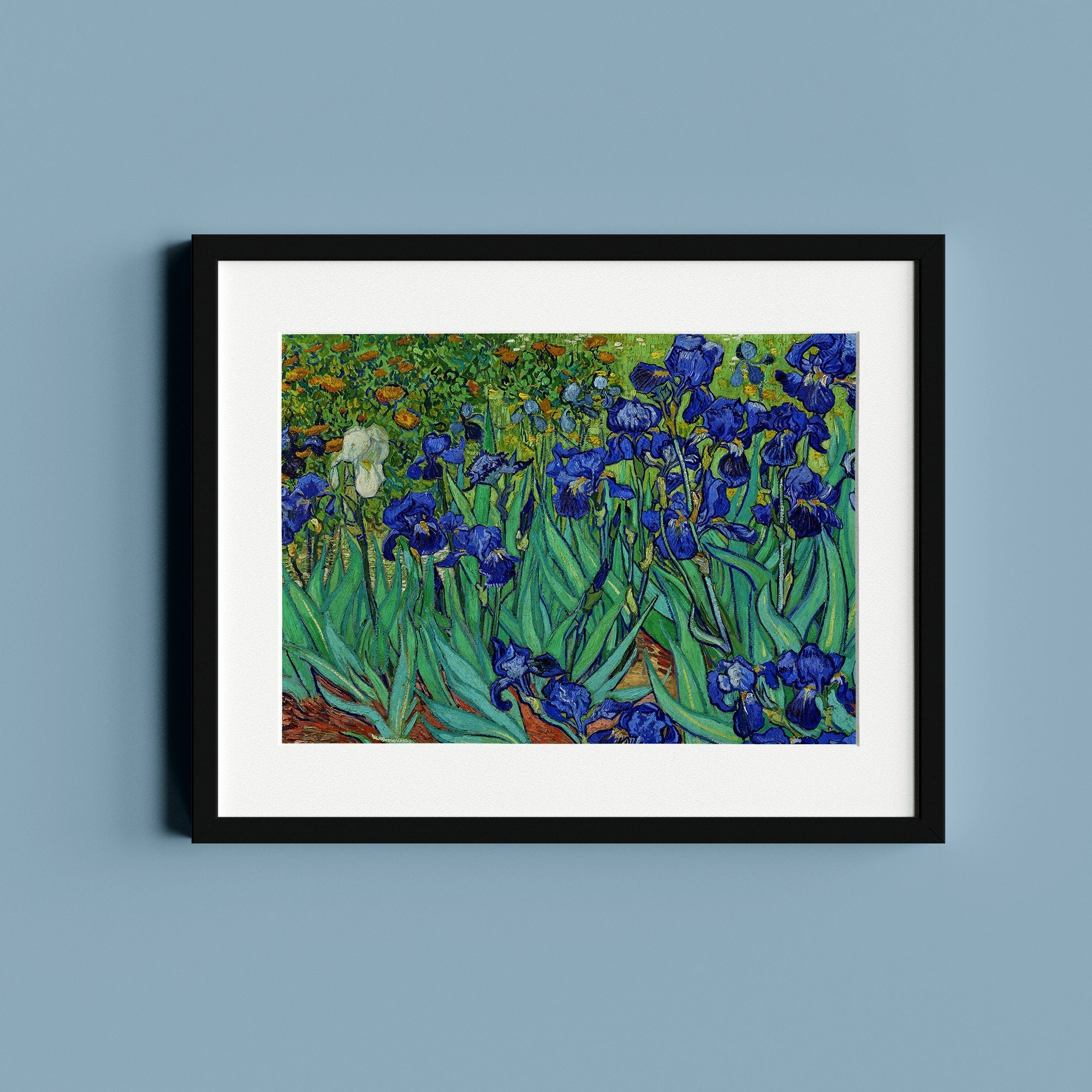 Irises - Hartsholme Prints