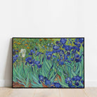 Irises - Hartsholme Prints