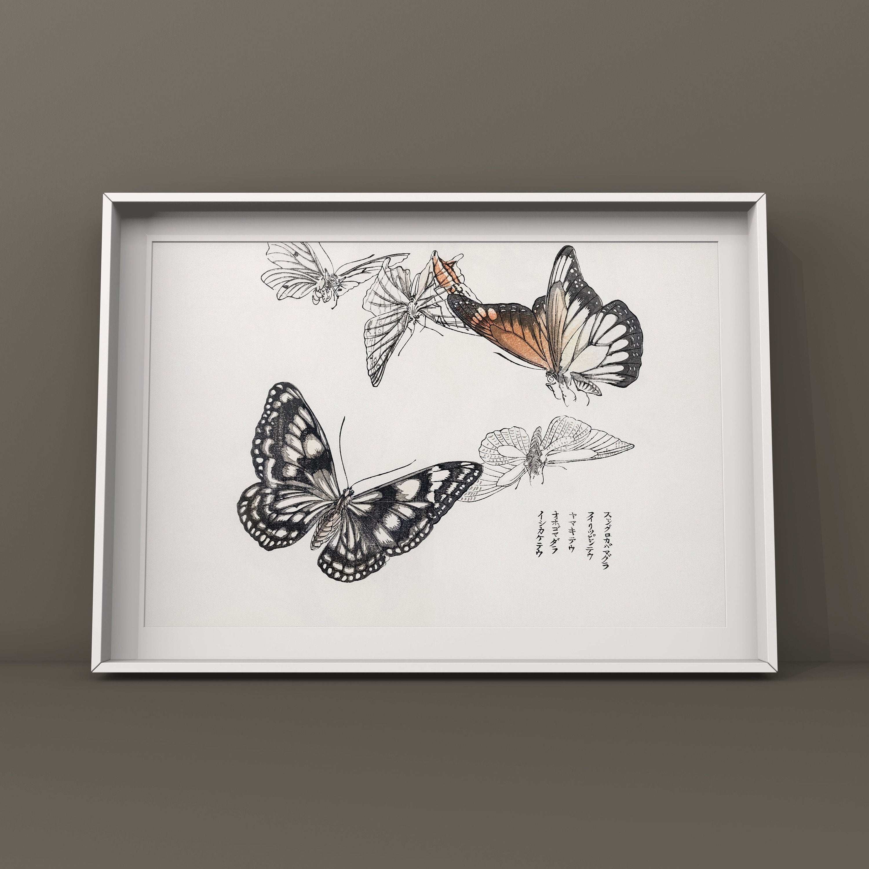 Japanese Butterfly Print - Hartsholme Prints