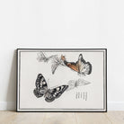 Japanese Butterfly Print - Hartsholme Prints