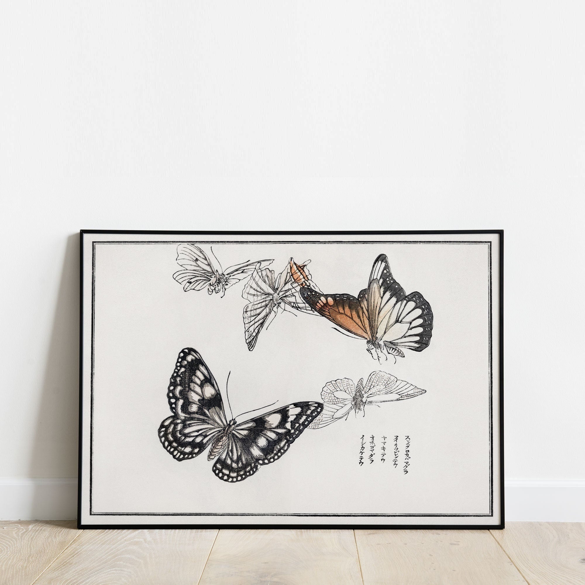 Japanese Butterfly Print - Hartsholme Prints