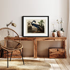 Louisiana Heron - Hartsholme Prints