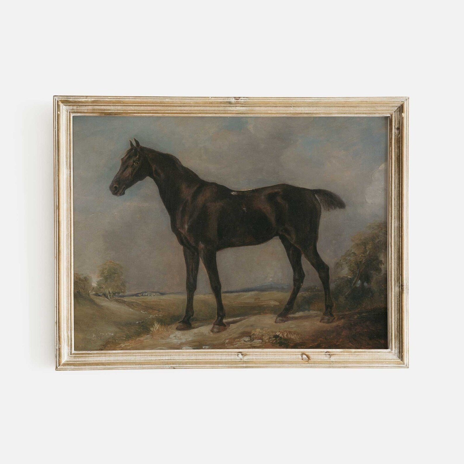 Majestic Dark Horse in Landscape Art Print - Hartsholme Prints