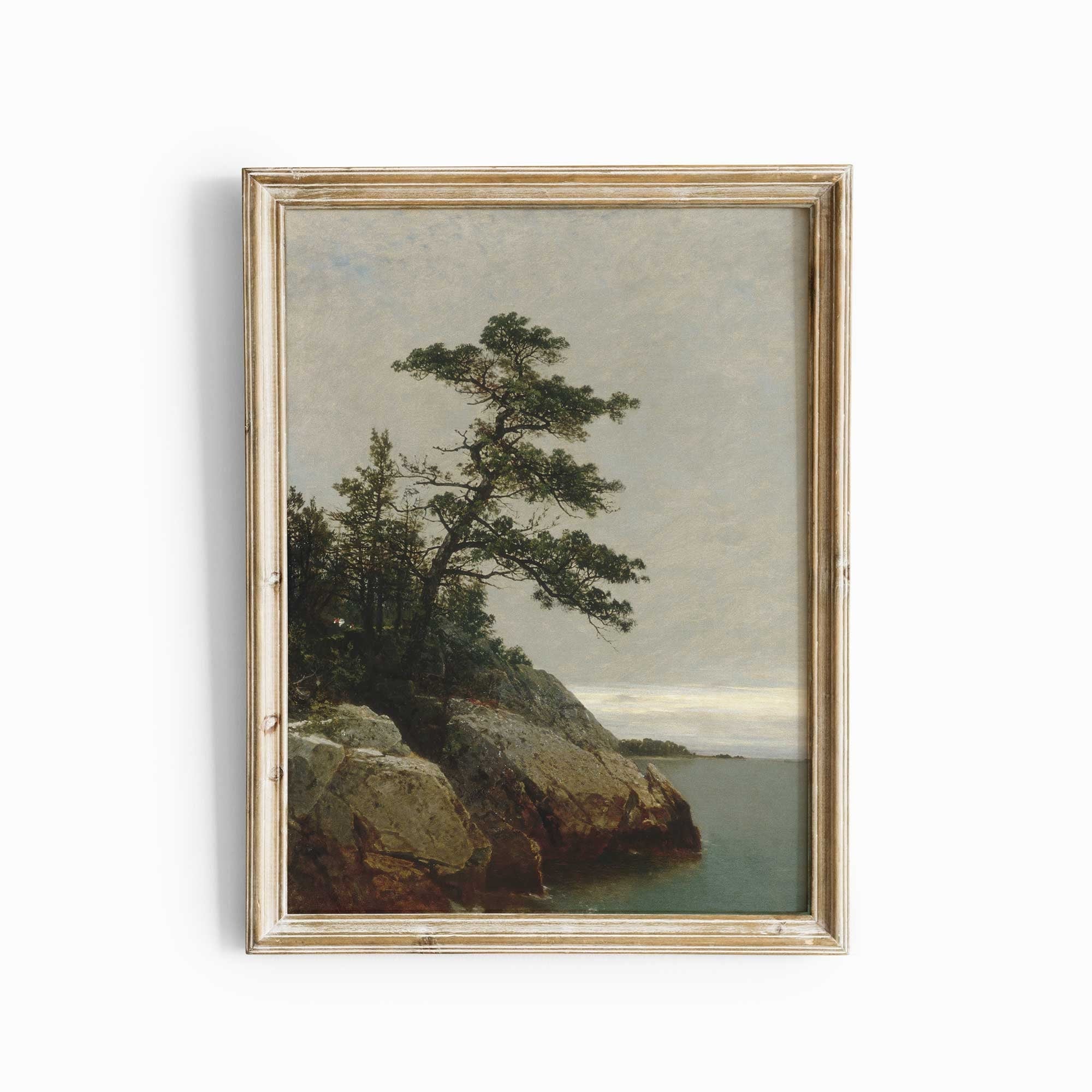 Pine Tree Rocky Shore - Hartsholme Prints