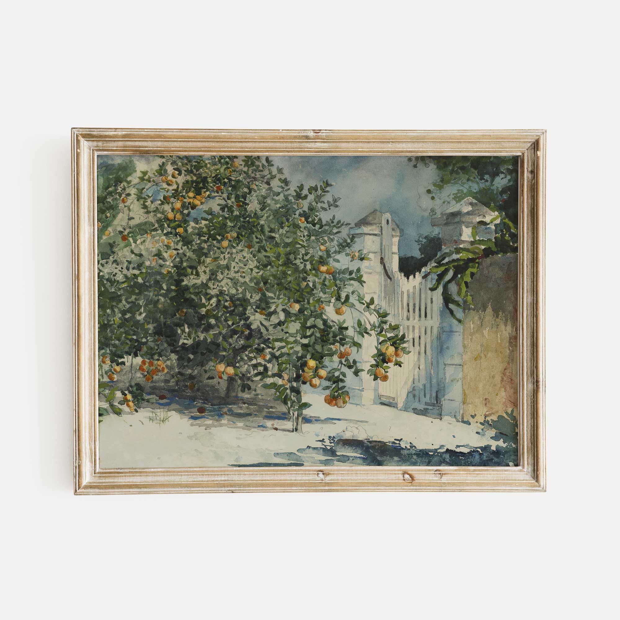 Spanish Kitchen Art Print - Hartsholme Prints