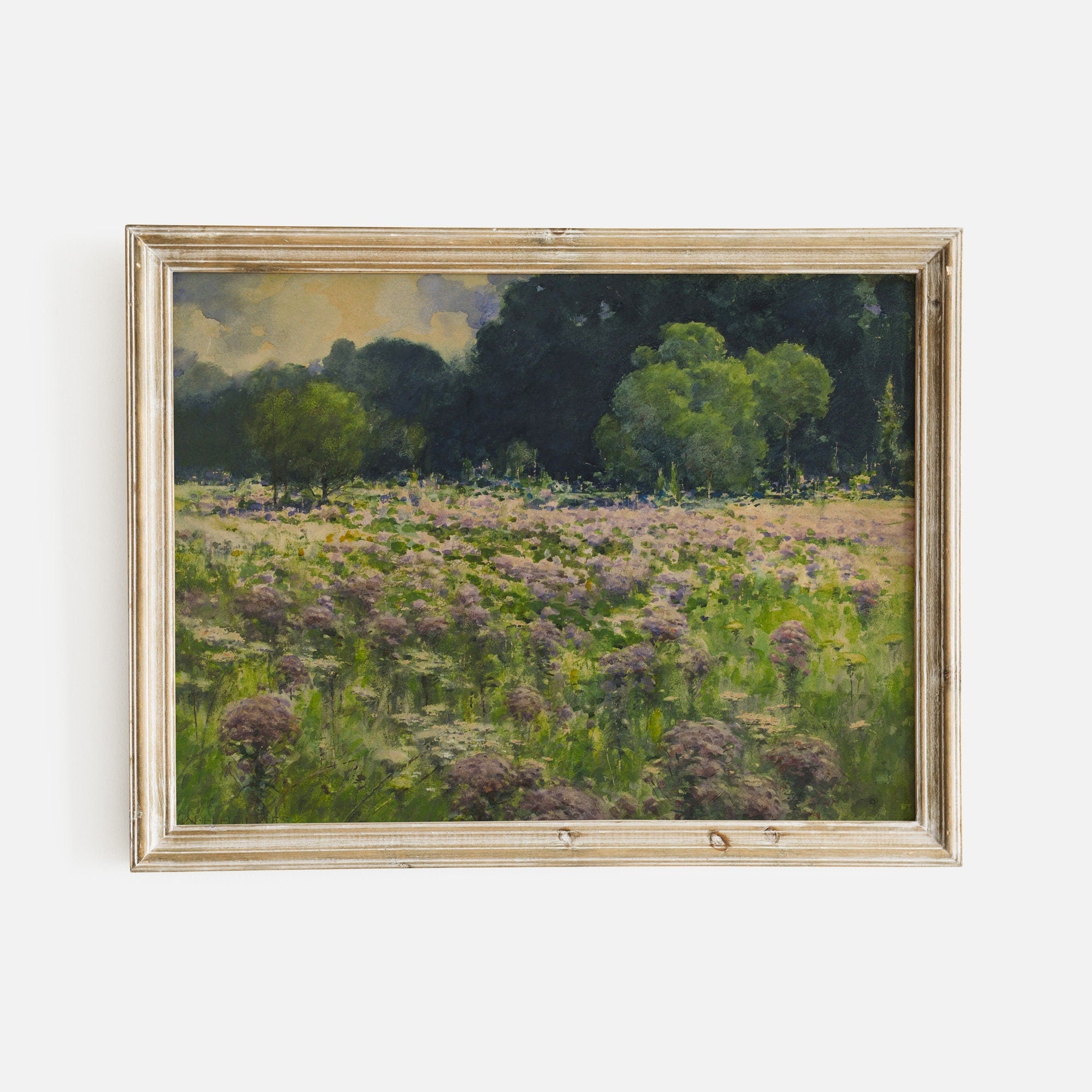 Summer Field Landscape Art, Meadow Flowers - Hartsholme Prints