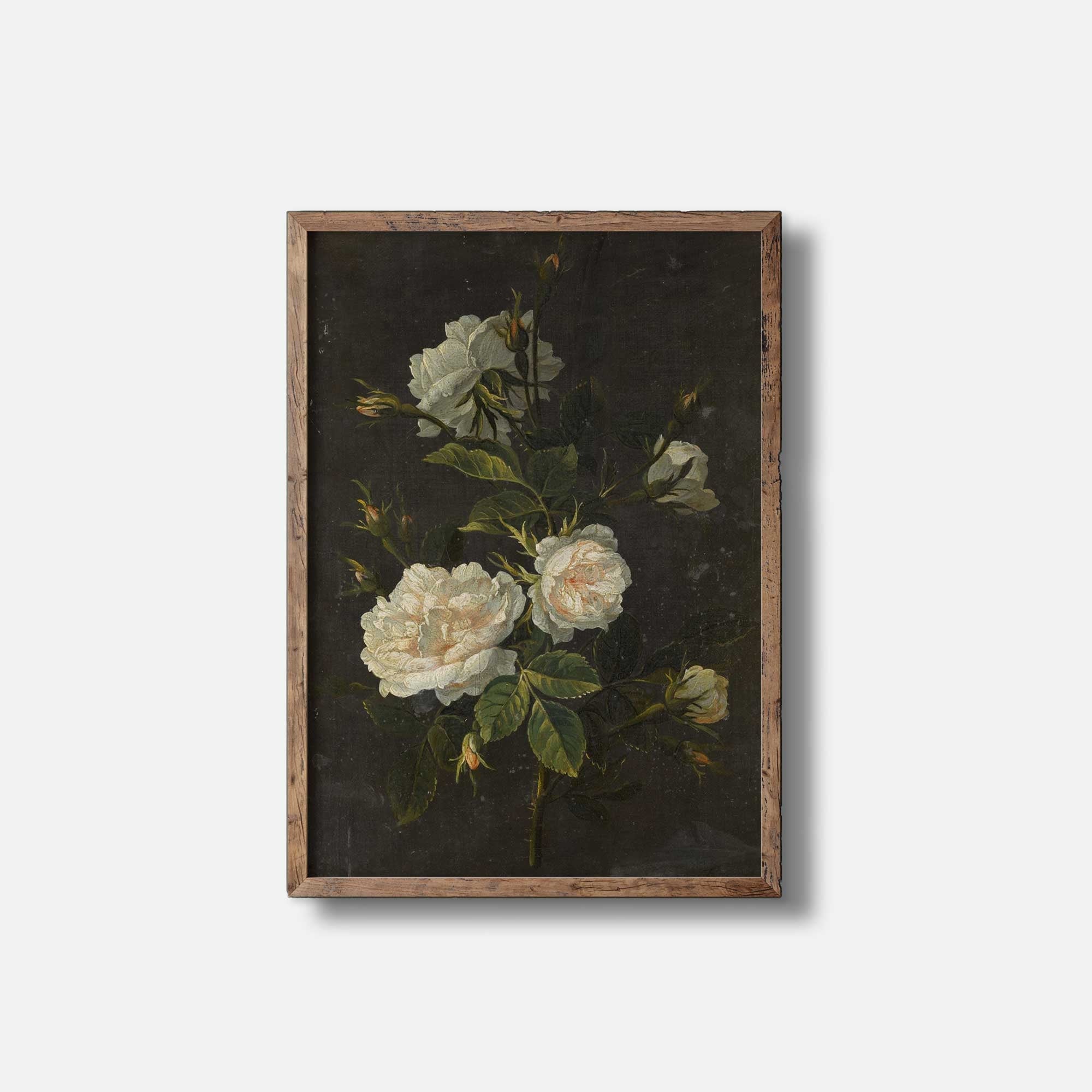 Vintage Roses French Still Life, Fine Art Print - Hartsholme Prints