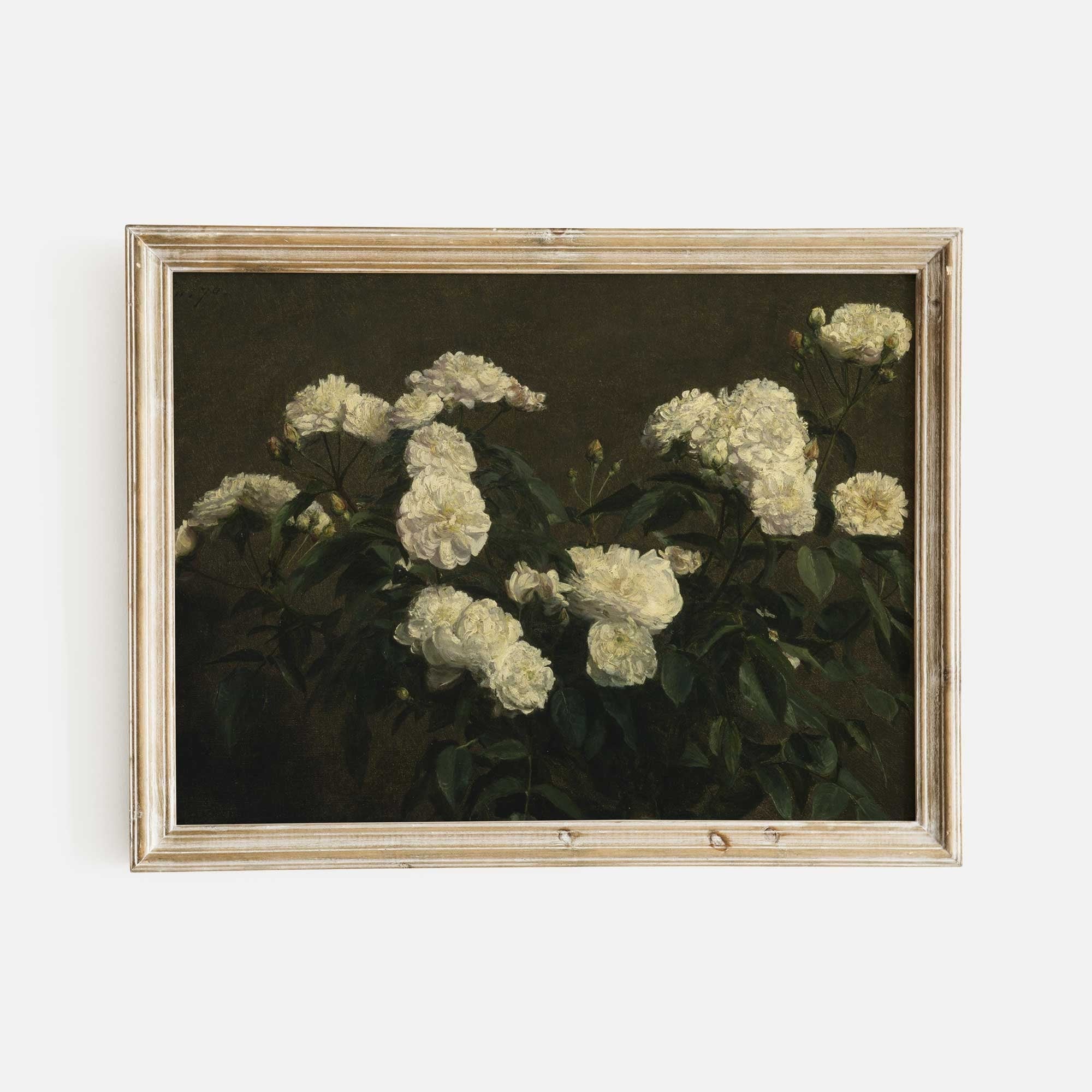 Vintage Still Life White Roses, Dark Moody Flower Print - Hartsholme Prints