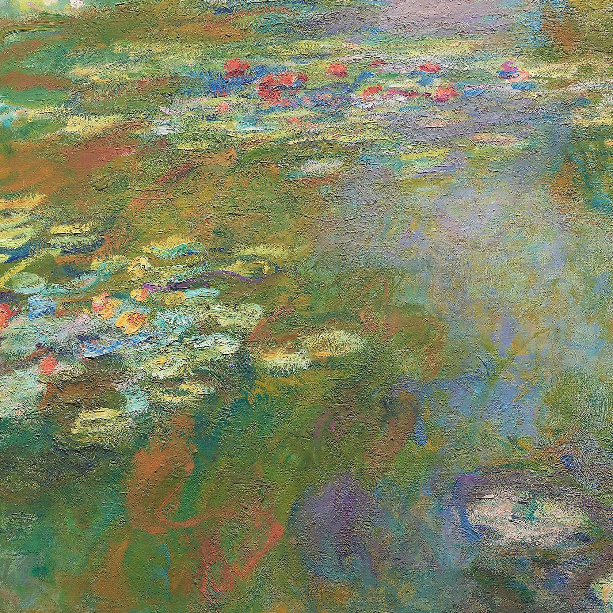 Water Lily Pond - Hartsholme Prints