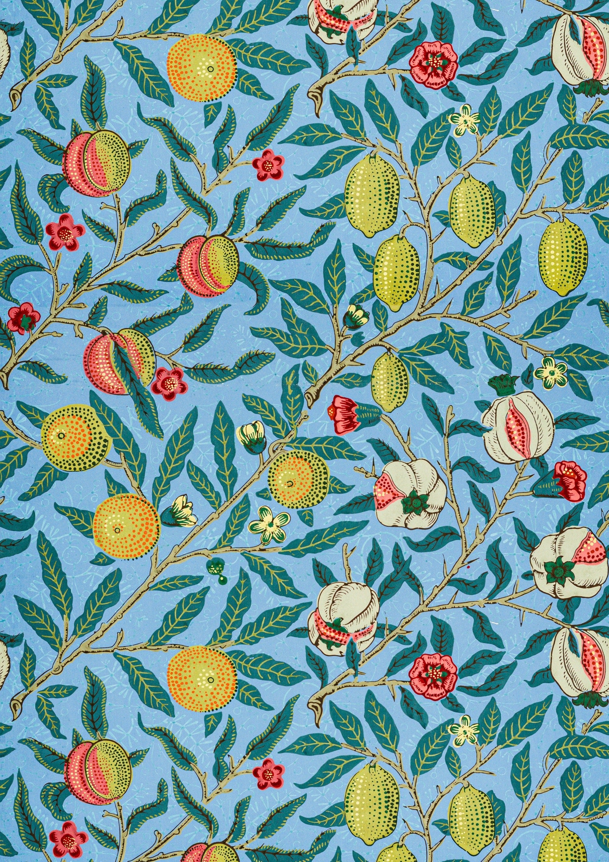 William Morris Fruit or Pomegranate Print - Hartsholme Prints