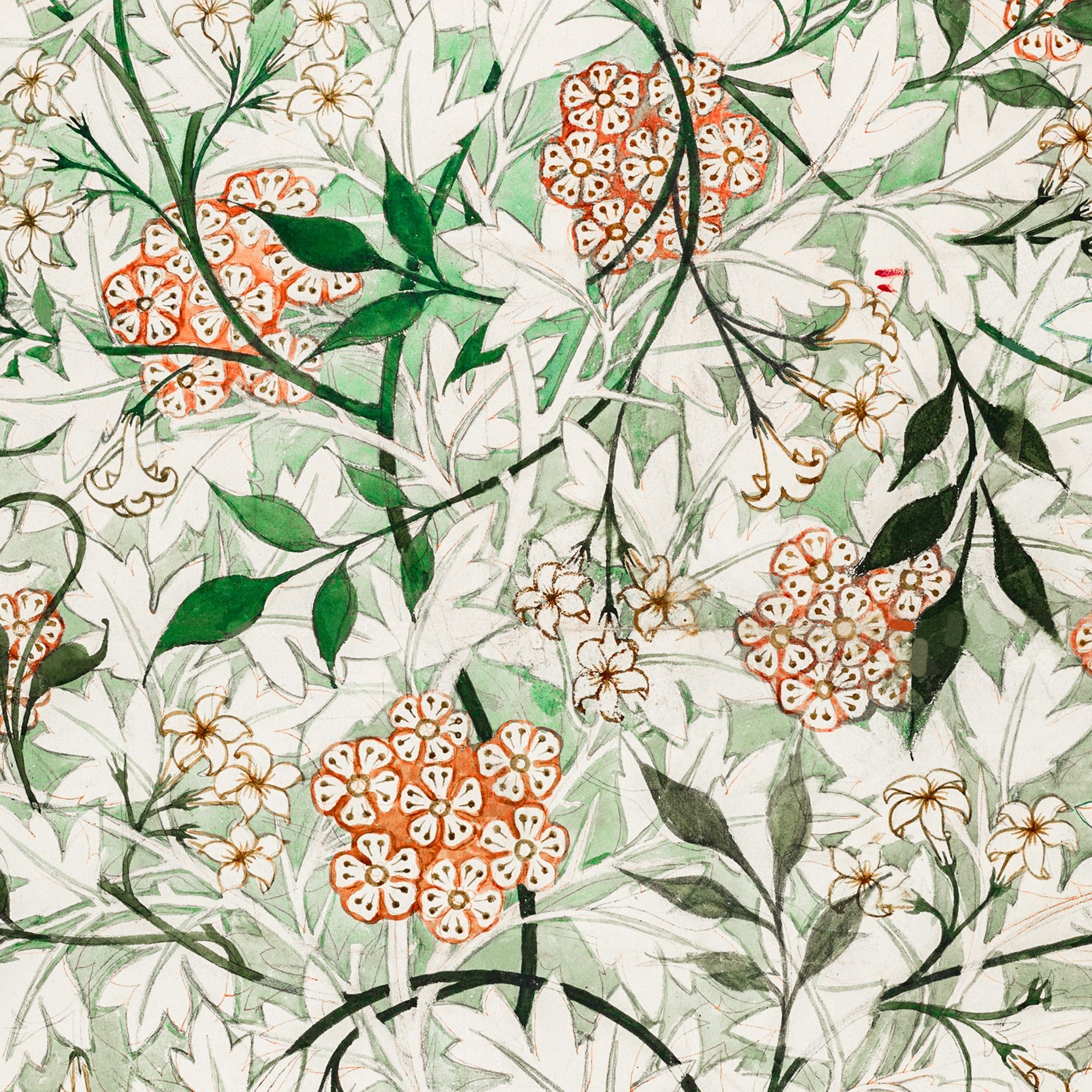 William Morris Jasmine Pattern Print - Hartsholme Prints